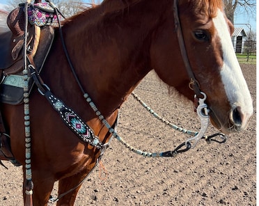 20 Plaits Romal Reins, Rommel Reins Chestnut Cherry Cow