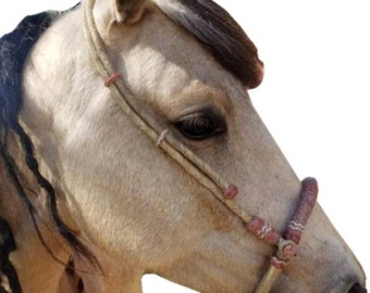 May include: A close-up of a light brown horse wearing a leather halter with a pink and white braided rope. The horse has a dark brown mane and tail.