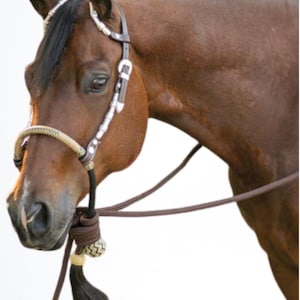 Horse Bosal Dark Chocolate Brown/Natural Rawhide, 40 Plaits Bosal, 5/8&quot; Thickness High-Quality Bosal, Handmade Bosal, Sale For Only Bosal