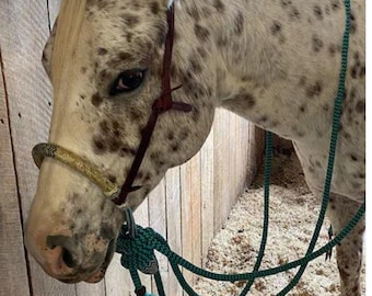 Handgefertigtes Rohleder Pferd Bosal, Natur & Türkis, 28 Zöpfe