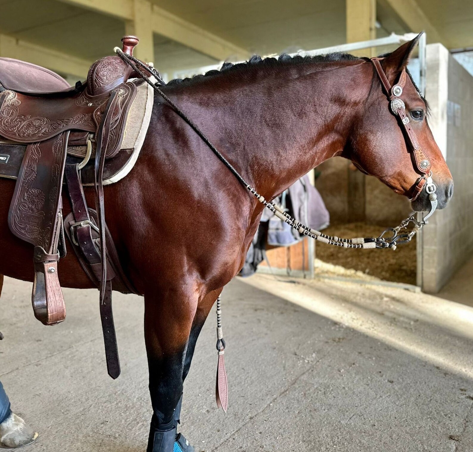 Hand-braided Romal Reins, Romal Reins California Style, Romal Reins 10 ...