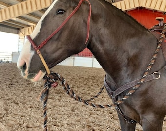 Cintre bosal cheval en cuir brut tressé à la main, noeud réglable en cerisier foncé - France