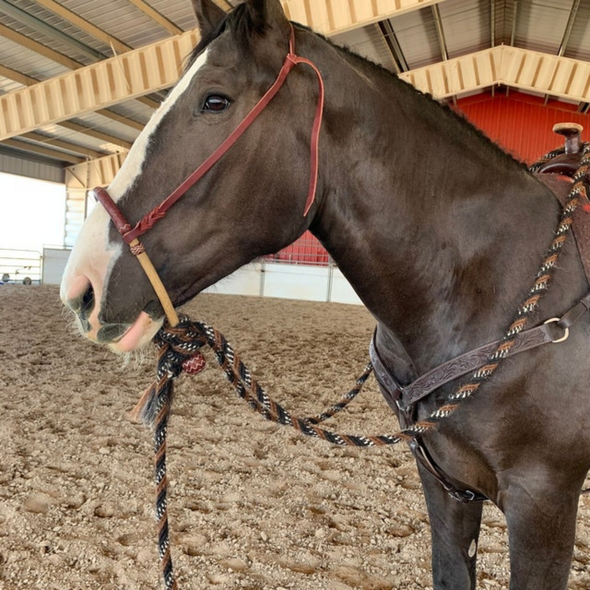 Is this bosal a good fit for this mares head? : r/Horses