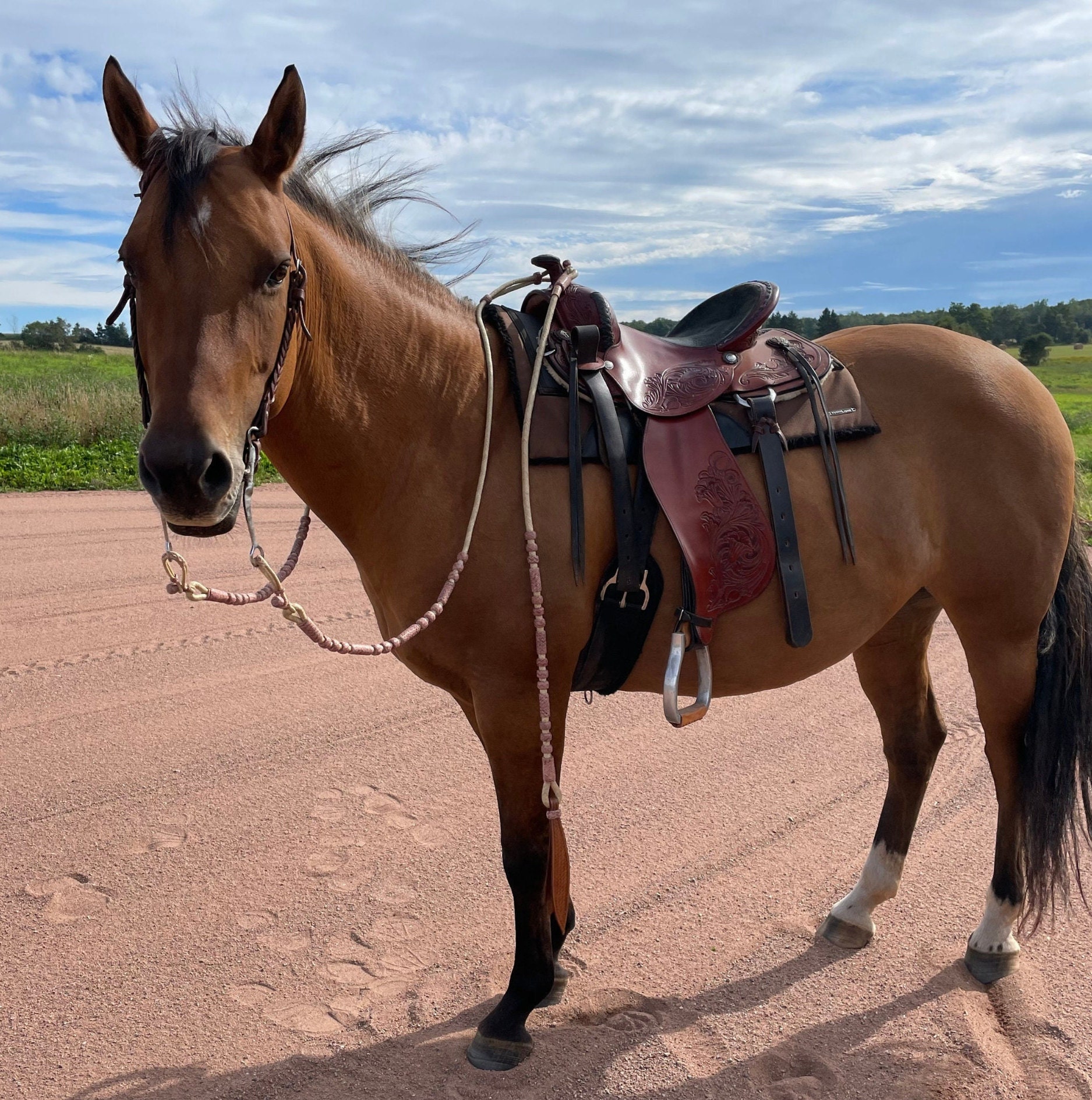New Hand Braided Brown Rawhide Show Romel Reins Horse tack