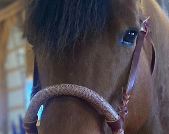 May include: Close-up of a brown horse with a black mane and tail. The horse is wearing a brown leather halter with a braided rope attached.