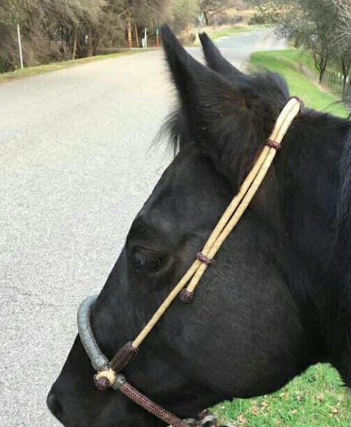 Pendentif Bosal Cheval Tressé Main – Cuir Vache – Naturel Et Foncé – Neuf