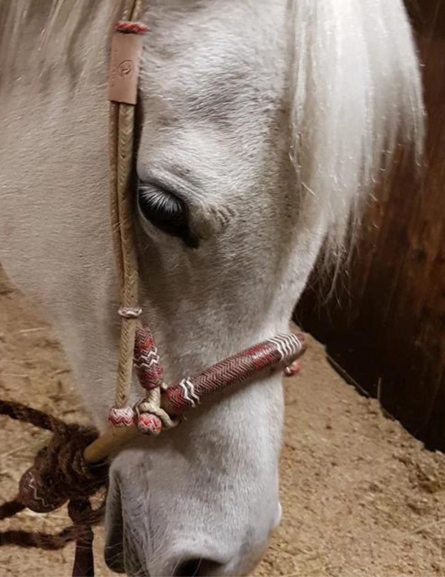 40 Tresses Bosal Cuir Brut Cerisier Châtaignier - 12 Pouces Rider Vivan