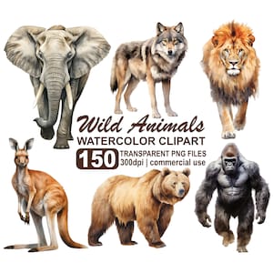 Aquarelle Animaux Clipart Bundle, 150 Images d’animaux sauvages du monde, 300 dpi graphiques PNG transparents téléchargement instantané, utilisation commerciale