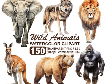 Wildtiere, Clipart Bundle, 300 dpi transparente PNG-Dateien, sofortiger Download, kommerzielle Nutzung