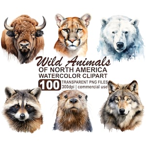 Aquarela Animais Clipart Pacote Imagens de Animais Selvagens da América do Norte, gráficos PNG transparentes de 300 dpi download instantâneo, uso comercial