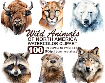 Aquarell nordamerikanische Tiere Clipart, transparente PNG (digitaler Download)