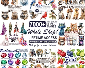 Könnte beinhalten: Eine digitale Sammlung von Aquarell-Cliparts mit Wildtieren, Vögeln, Hunden, Modeskizzen, Katzen, Geburtssteinen, Dinosauriern und Früchten. Der Text enthält 7000+ CLIPART IMAGES, Whole Shop! LIFETIME ACCESS und kommerzielle Nutzung.