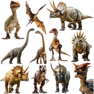 K&ouml;nnte beinhalten: Eine Sammlung von zehn verschiedenen Dinosaurierfiguren, darunter ein Pterodactylus, ein Stegosaurus, ein Triceratops und ein Tyrannosaurus Rex. Die Figuren sind alle aus Kunststoff und in realistischen Farben bemalt.