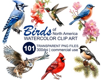 Watercolor Birds Bumper Discount Clipart Bundle 101 Colorful Bird Images, 300 dpi transparent PNG format instant download, commercial use