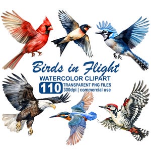 Pássaros em aquarela em voo, pacote de clipart com desconto de para-choque, 110 imagens de pássaros, formato PNG transparente de 300 dpi, download instantâneo, uso comercial