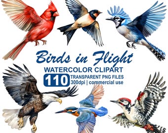 Watercolor Birds in Flight, Bumper Discount Clipart Bundle 110 Bird Images, 300 dpi transparent PNG format, instant download, commercial use