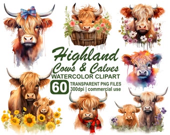 Watercolor Highland Cow Clipart, Baby Shower PNG (60 Files)