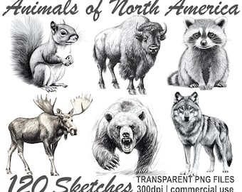 Tier Skizzen Linie Kunst Tiere von Nordamerika Clipart Bundle Skizzen von Tieren Png, 300 dpi transparentes PNG-Format, kommerzielle Nutzung