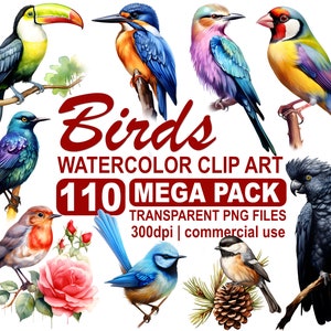 100+ Watercolor Birds Clipart Bundle, colorful birds, beautiful birds of the world, 300 dpi transparent PNG instant download, commercial use