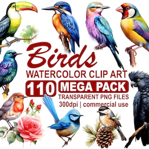 Mais de 100 pacotes de clipart de pássaros em aquarela, pássaros coloridos, lindos pássaros do mundo, download instantâneo PNG transparente de 300 dpi, uso comercial