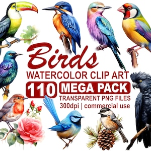 100+ Watercolor Birds Clipart Bundle, colorful birds, beautiful birds of the world, 300 dpi transparent PNG instant download, commercial use