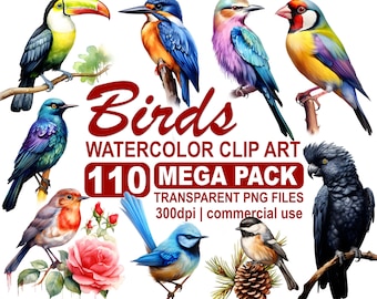 100+ Watercolor Birds Clipart Bundle, colorful birds, beautiful birds of the world, 300 dpi transparent PNG instant download, commercial use
