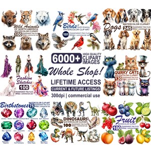 Whole Shop Clipart Bundle, Unlimited Lifetime Access Entire Store PNG, Whole Shop PNG Mega Bundle Instant Download, Unlimited Commercial Use