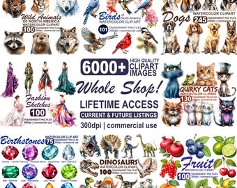 Whole Shop Clipart Bundle, Unlimited Lifetime Access Entire Store PNG, Whole Shop PNG Mega Bundle Instant Download, Unlimited Commercial Use