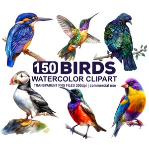 Pacote de clipart de pássaros em aquarela de 150, pássaros coloridos, lindos pássaros do mundo, download instantâneo PNG transparente de 300 dpi, uso comercial