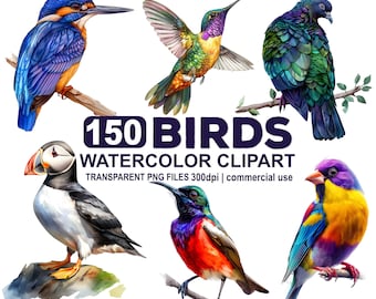 150 Watercolor Birds Clipart Bundle, colorful birds, beautiful birds of the world, 300 dpi transparent PNG instant download, commercial use