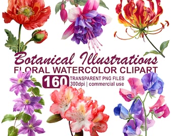 Watercolor Botanical Illustrations, Clipart Bundle, 160 Flower png, Floral Clipart, 300 dpi transparent PNG instant download, commercial use