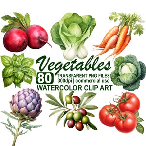 Clipart z akwarelowymi warzywami, clipart ogrodniczy, clipart z menu, jedzenie, targowisko, 300 dpi, przezroczyste cyfrowe pobieranie PNG, wykorzystanie komercyjne