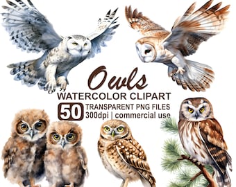 Watercolor Owls Clipart Bundle, 50 Owl png Bird Images, Cute Owls, Bird PNG 300 dpi Transparent PNG Format Instant Download, Commercial Use