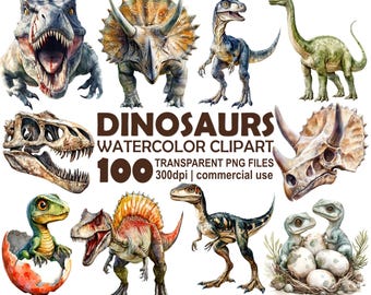 Dinosaurier Clipart Bundle, Dinosaurier PNG, Dinosaurier Bilder, T-Rex usw., 300 dpi transparente PNG Illustrationen, kommerzielle Nutzung, Sofort Download