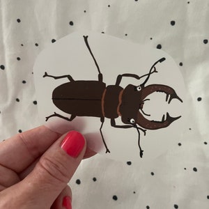 Könnte beinhalten: Ein Aufkleber mit einer Cartoon-Illustration eines Hirschkäfers. Der Käfer ist hauptsächlich braun mit großen Mandibeln und einem detaillierten Körper. Der Aufkleber wird vor einem weißen Hintergrund mit schwarzen Tupfen gehalten.
