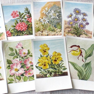 10 cartões de felicitações vintage flores florais ocre genciana amor-perfeito edelweiss uva jacinto rosa canina violeta