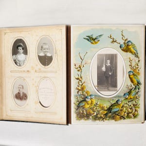 Album photo ancien, armoire, photos, reliure en cuir, bord doré, fermeture cassée, impressions, motifs d'oiseaux, CDV