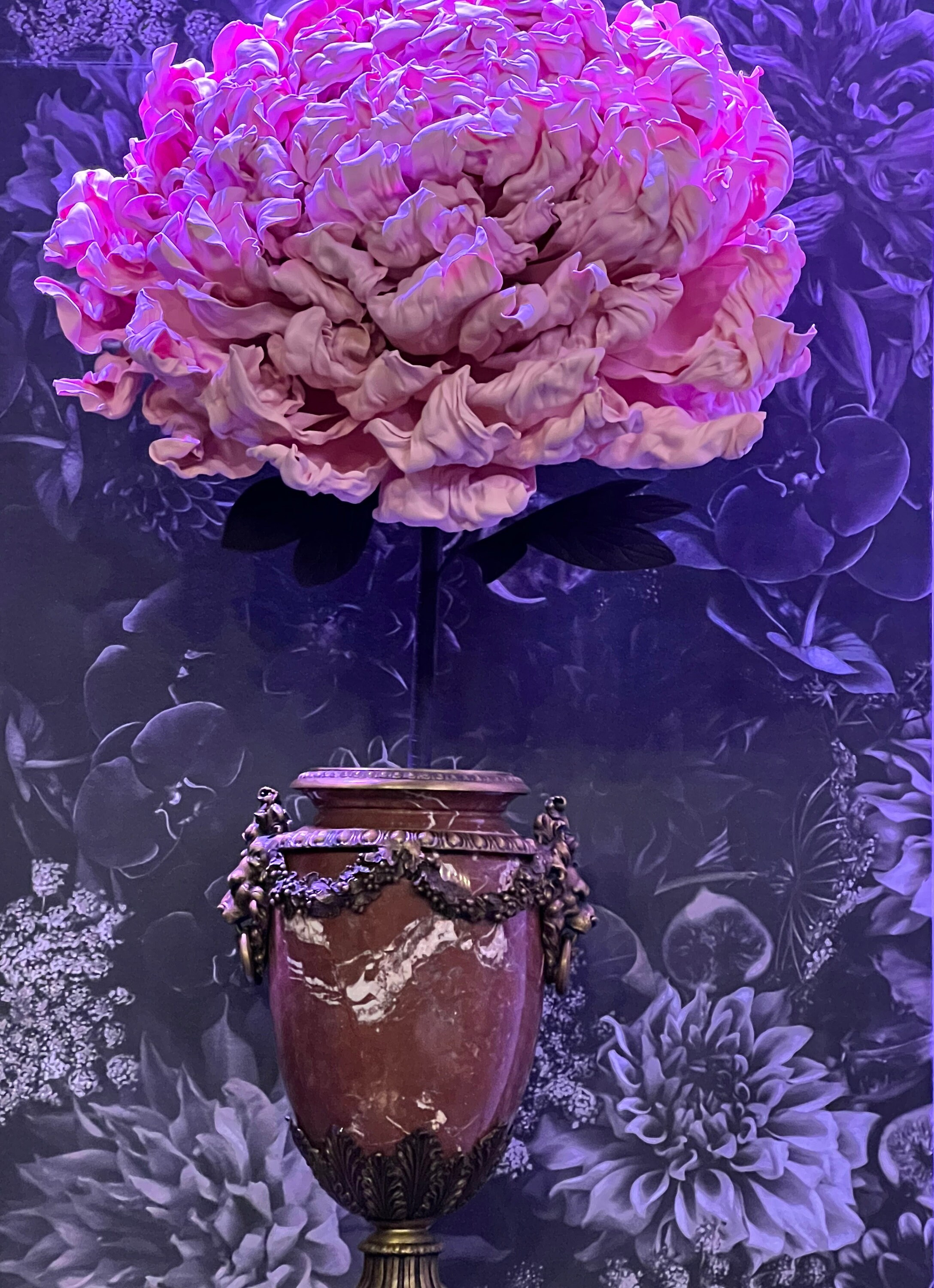 Light Pink Flowers. Flower Head for Wedding Arch. Extra Large Peony