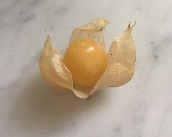 Pineapple Ground Cherry Seeds – Heirloom Husk Cherry, Sweet Tropical Flavor