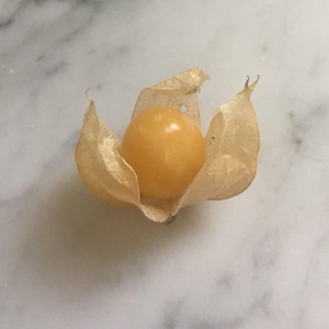 May include: A single golden-orange cape gooseberry fruit, encased in its papery husk. The husk is a light tan color, with delicate, veined textures. The fruit is smooth and round, with a glossy appearance. The background is a white marble surface.