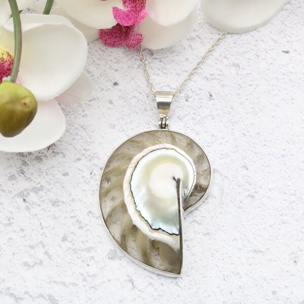 Nautilus shell pendant, small clear in Sterling Silver