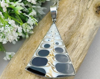 May include: A silver pendant necklace featuring a triangular shaped piece of iridescent abalone shell with black accents. The shell has a unique pattern of concentric circles and swirls.