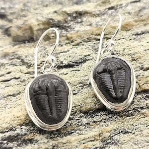 Trilobite Earrings | Fossil Drop Earrings | Sterling Silver