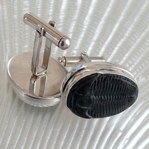 May include: A pair of silver cufflinks with a black trilobite fossil design. The cufflinks are oval shaped and have a polished silver finish.