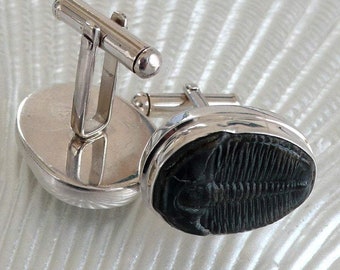 Trilobite Cufflinks | Sterling Silver