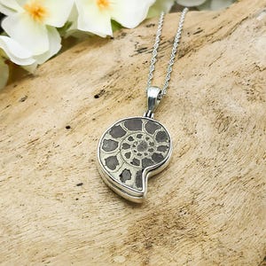 Ammonite Pendant | 23mm Pyrite Fossil Necklace | Sterling Silver