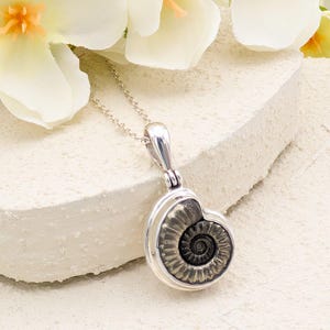 Ammonite Pendant | 18mm Promicroceras Fossil Necklace | Sterling Silver