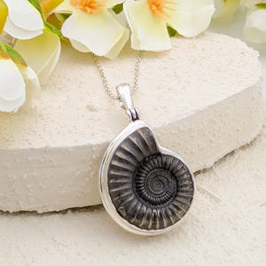 Ammonite Pendant | 22mm Promicroceras Fossil Necklace | Sterling Silver