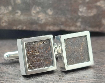 Dinosaur Bone Brontosaurus Cufflinks in Sterling Silver