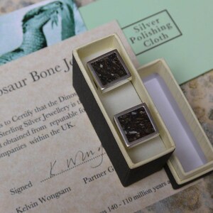 Dinosaur Fossil Cuff Links | Made from Iguanodon fossil | Fossil Cufflinks | sterling silver